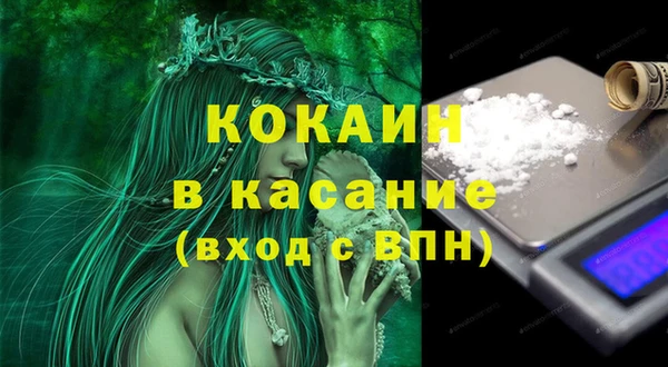 дживик Абинск