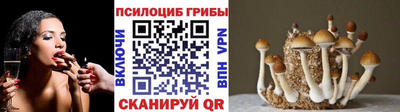Псилоцибиновые грибы прущие грибы сколько стоит Богданович